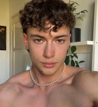 Profil de Louis-charles